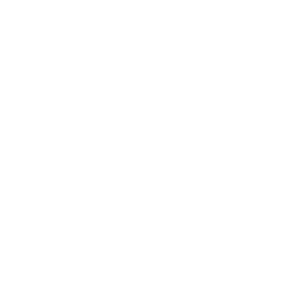 Skills Catalyst Logo